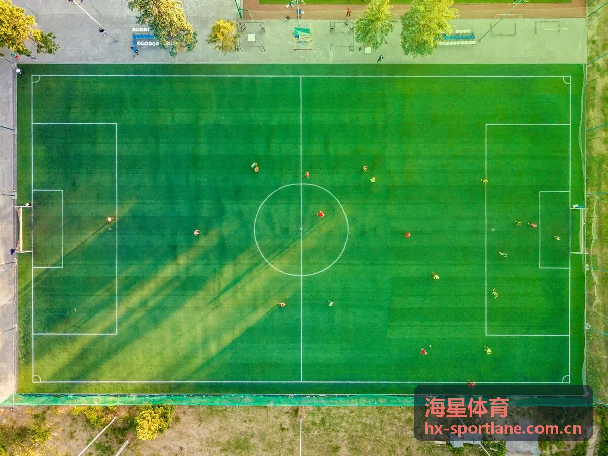 海星体育羽毛球公开赛直播
